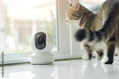 Modern indoor home security camera with domestic cat in the living room at home.