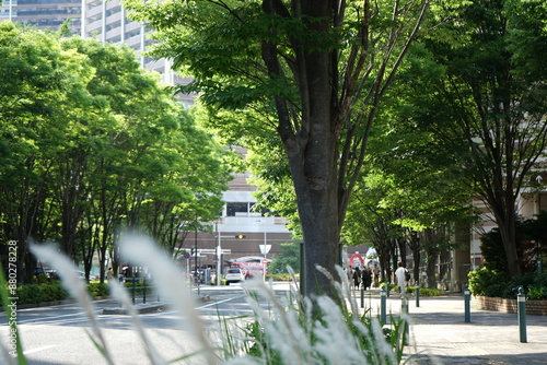 Fotografie 武蔵小杉駅前6月