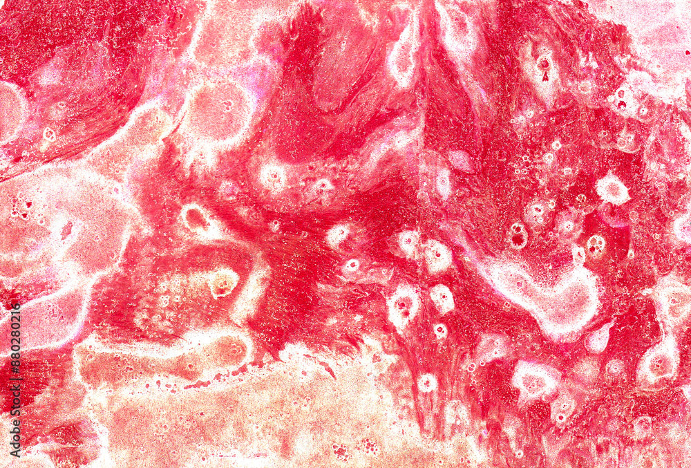 Fototapeta premium Abstract background of different shades of red and white spots, drops and dots. Colors are mixed, forming new shades. Pink, peach fluff, fuchsia, magenta. Soft, delicate texture.