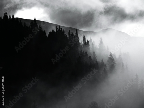 Foggy Mountain Slope - Silhouettes in Black and White