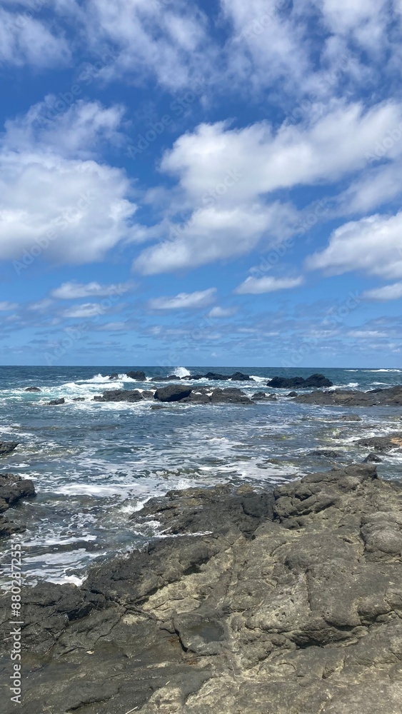 日本海 日本海