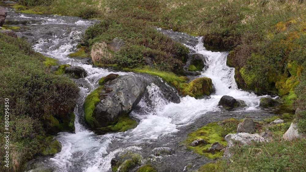 Glacial Freshwater Creek in Landscape of South Georgia Island, British Overseas Territory Glacial Freshwater Creek in Landscape of South Georgia Island, British Overseas Territory