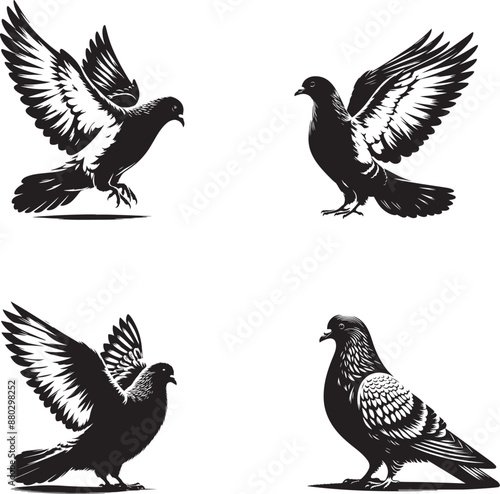 Silhouettes of pigeons