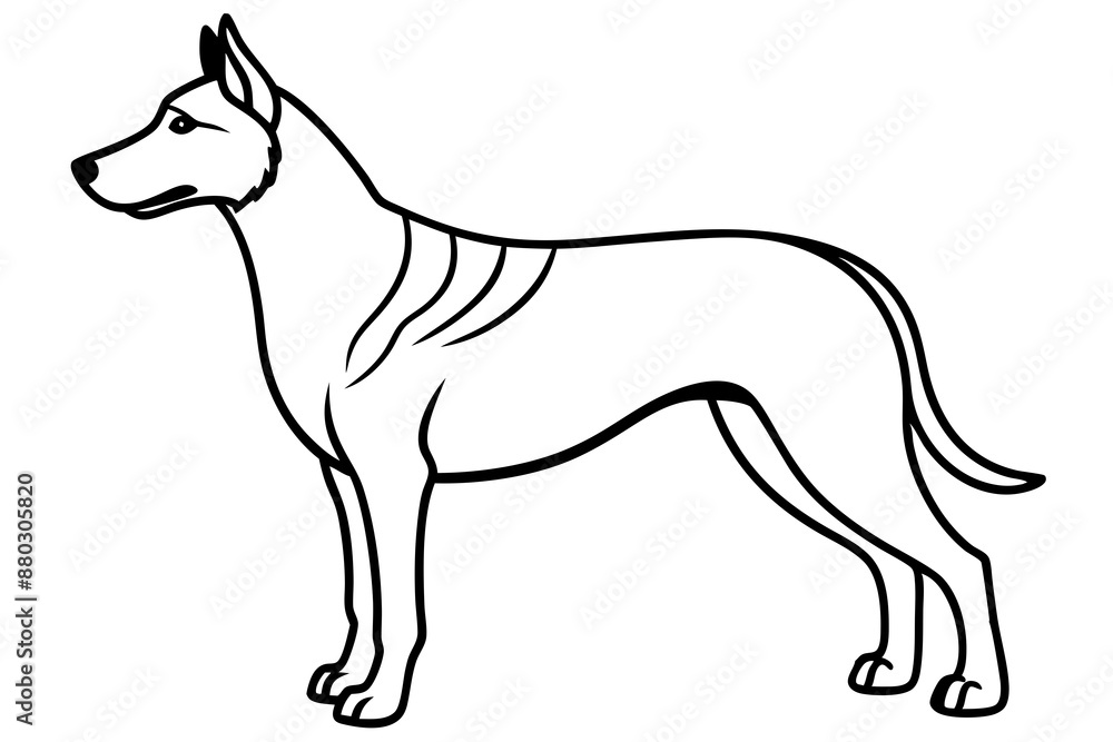 Obraz premium A Japanese dog vector line art illustration design