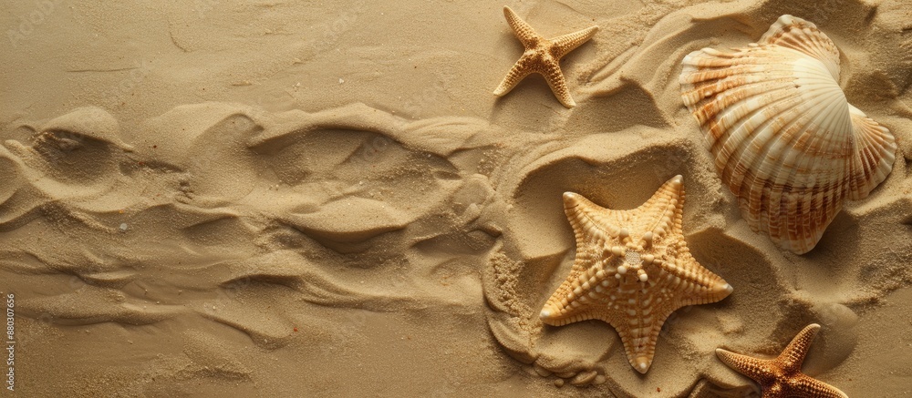 Seashells and starfish imprinted on sandy beach, with available copy space for warm vacation-themed image. Seashells and starfish imprinted on sandy beach, with available copy space for warm vacation-themed image.