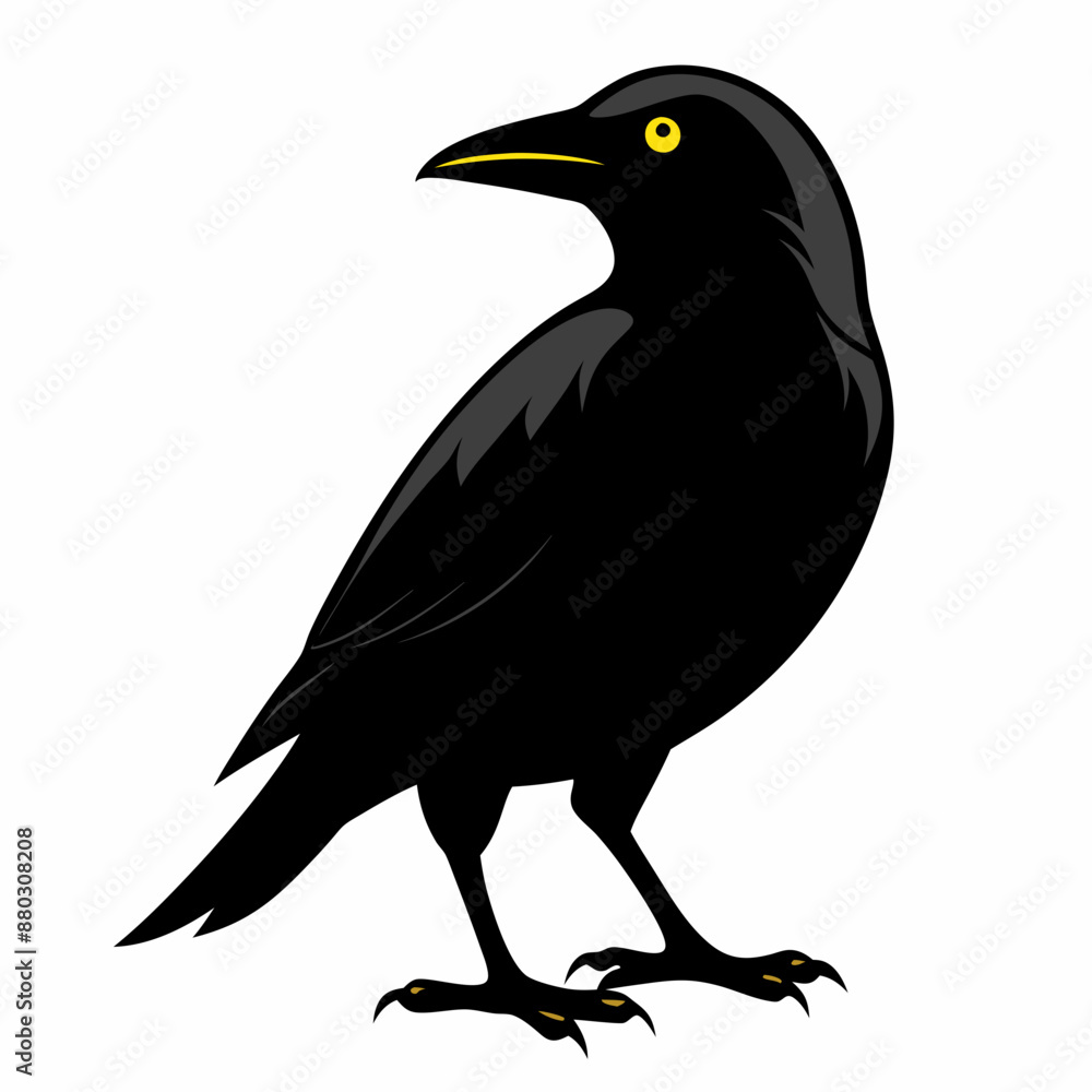 Fototapeta premium A black crow on a white background