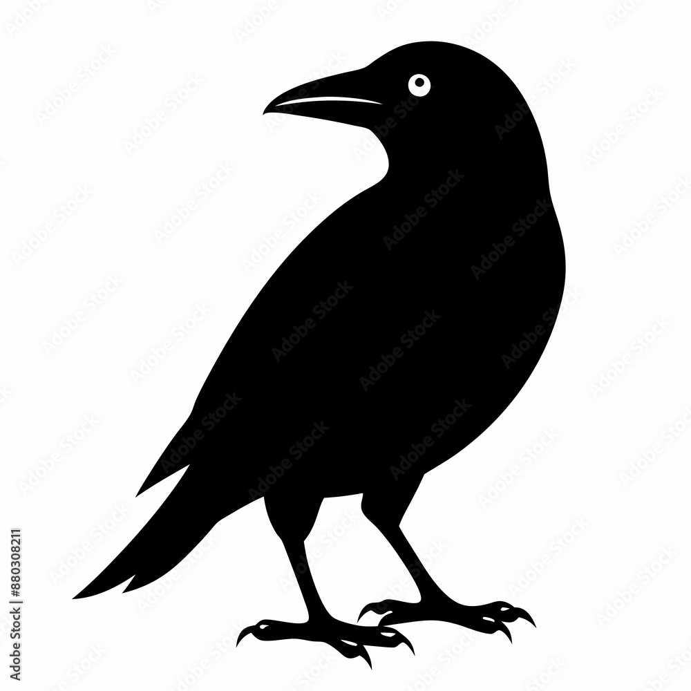 Fototapeta premium A black crow on a white background