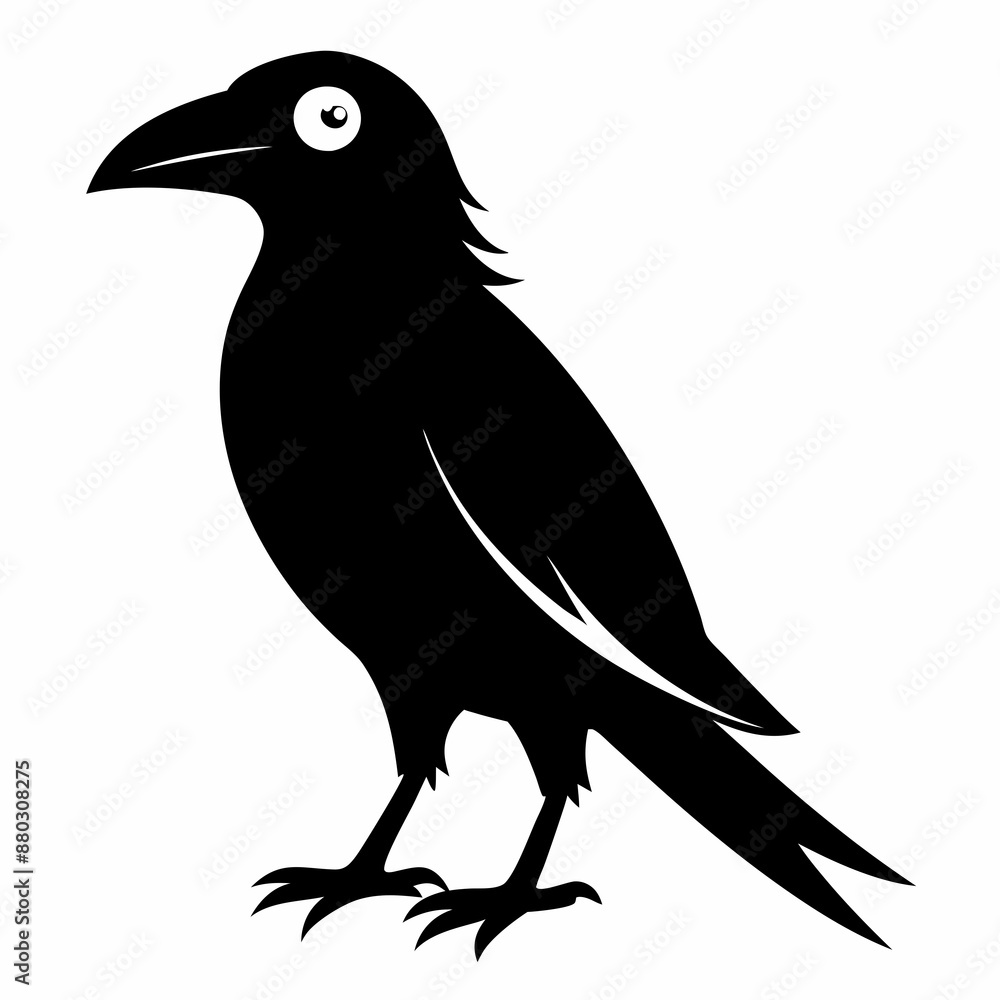 Fototapeta premium A black crow on a white background