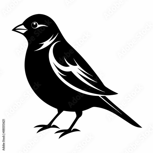 Sparrow silhouette vector icon illustration with a white background.