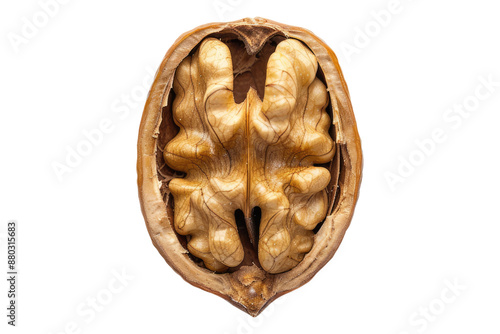 Peeled walnut isolated on transparent background