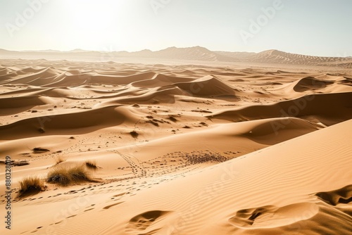 Dry Sahara desert landscape with rolling sand dunes and blue sky, A vast expanse of the Sahara desert with rolling sand dunes, AI generated