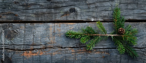 Festive Christmas backdrop ...