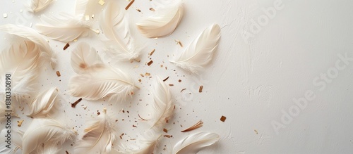 Flat lay of fluffy white go...