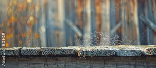 Spiderweb on the barn s roo...