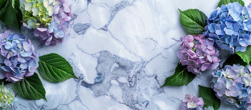 An overhead perspective of a marble surface adorned with vibrant hydrangea flowers featuring ample copy space image An overhead perspective of a marble surface adorned with vibrant hydrangea flowers featuring ample copy space image