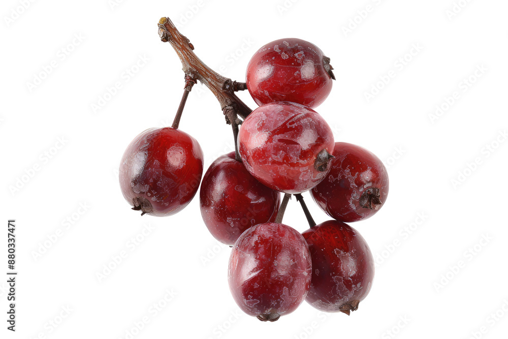 Soapberry isolated on transparent background Soapberry isolated on transparent background