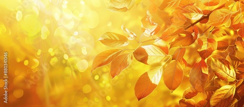 Autumn offers stunning gold...