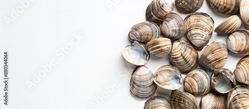 White background with copy ...