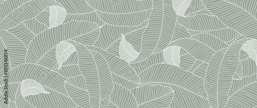 Green banana leaf line art wallpaper background vector. Luxury natural hand drawn foliage pattern design in minimalist linear contour simple style. Design for fabric, cover, banner, invitation.