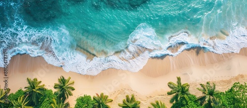 Sunny tropical beach scene ...