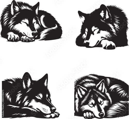 Sleeping wolf black and white silhuette assets of illustration