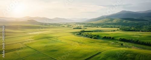 Serene Scottish Meadow in Spring: Aerial View of Rolling Green Fields and Vibrant Florals under Soft Light for Documentary and Editorial Landscape Photography