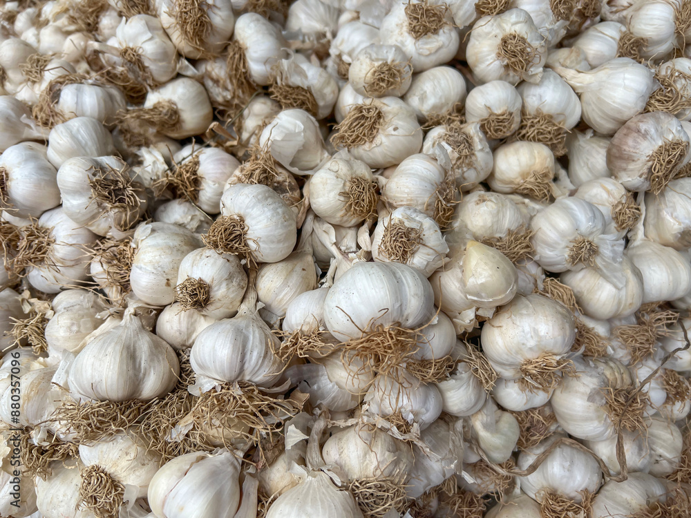 closeup background of garlic on market closeup background of garlic on market