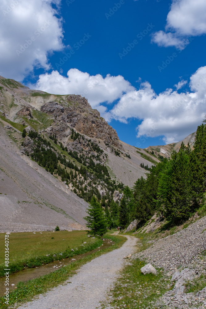 Chemin blanc dans les Alpes Chemin blanc dans les Alpes