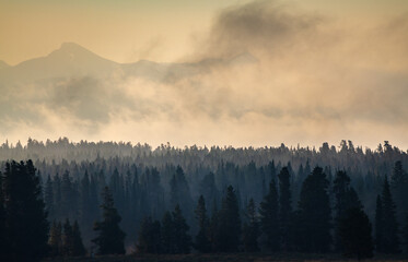 Keuken achterwand Mistig bos Mistige ochtend in Hayden Valley  © Zack Frank