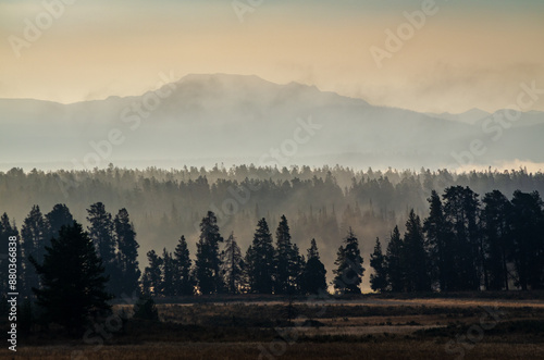 Hayden Valley at Misty Morning at Yellowstone National Park photo