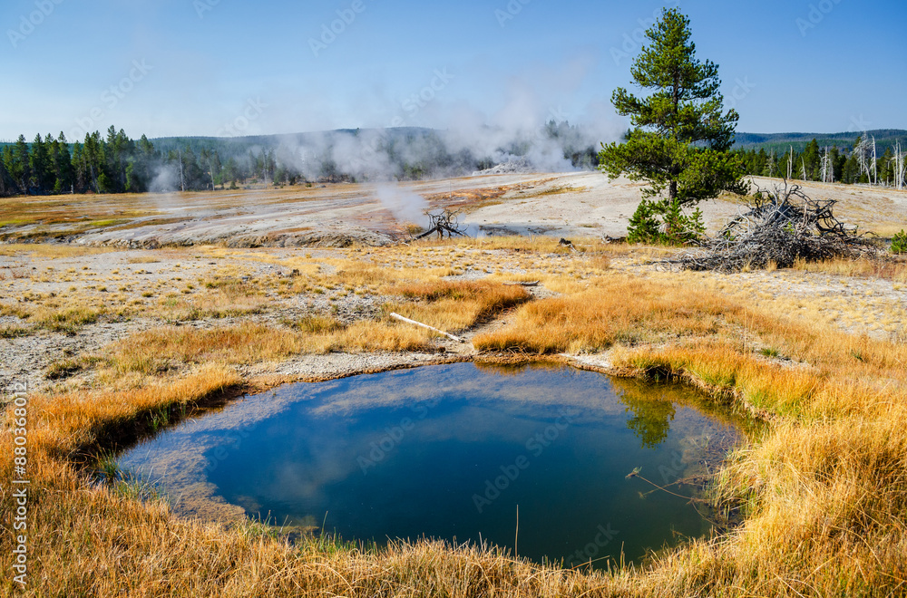 Yellowstone National Park, Wyoming, USA, Upper Geyser Basin, Upper Geyser Pool Yellowstone National Park, Wyoming, USA, Upper Geyser Basin, Upper Geyser Pool