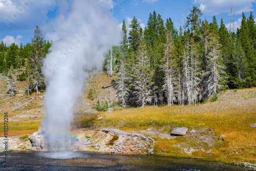 Riverside Geyser at Yellowstone National Park