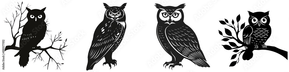 Collection of Vector silhouette illustration owls bird isolated on transparent or white background Collection of Vector silhouette illustration owls bird isolated on transparent or white background