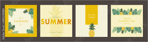 夏のトロピカルフルーツ   素材セット フレーム 背景 ベクターイラスト シンプル おしゃれ