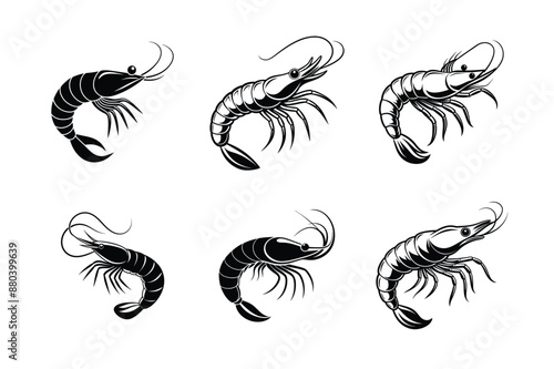 set of Shrimp Sihouette vector icon. Sea food logo, sign, symbol. Sea Caridea animal. Prawn black silhouette. Crustacean with curly feelers isolated on whit
