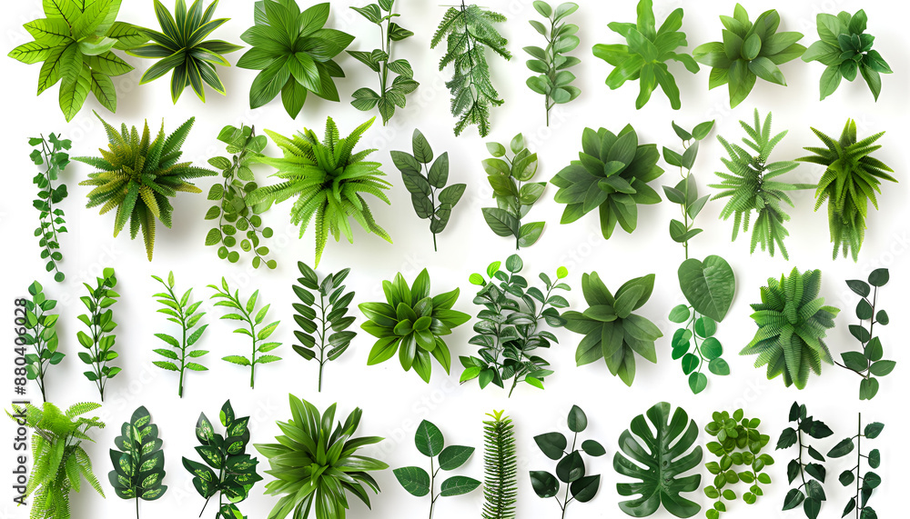 Naklejka premium Artificial plants decorative panel isolated on white