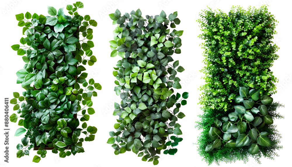 Obraz premium Artificial plants decorative panel isolated on white