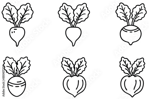 Beetroot Beauty line art sophisticated minimalist illustration