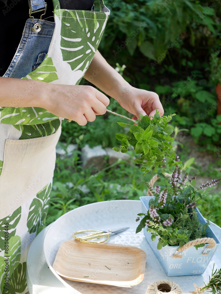 A young woman working in the garden on a summer's day. She gathers herbs and ties them in bundles to dry.