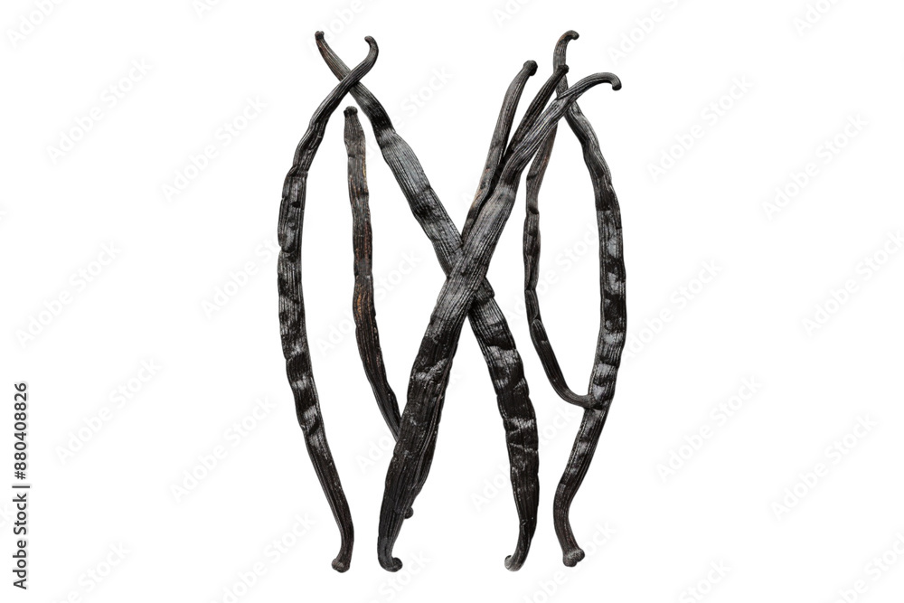 Vanilla beans isolated on transparent background Vanilla beans isolated on transparent background