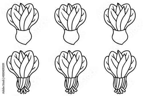 Bok Choy line art unique minimalist vegetable design