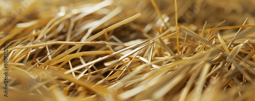 Textured haystack with golden straws, 4K hyperrealistic photo