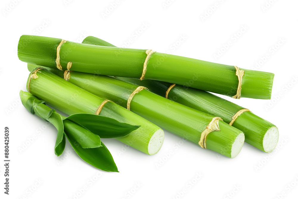 Fototapeta premium Green bamboo with leaves isolated on white background with full depth of field