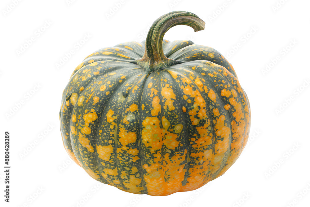 Fairy tale pumpkin with a green stem isolated on a white background, great for autumn themes and decorations Fairy tale pumpkin with a green stem isolated on a white background, great for autumn themes and decorations