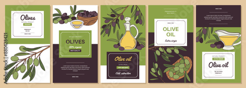 Olive products. Natural food, black and green, extravergine olive oil, glass bottles, containers, twigs with leaves, product packaging design, label with copy space, tidy vector banners set