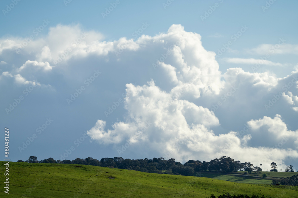 beautiful farming landscape in australia with green rolling hills in spring beautiful farming landscape in australia with green rolling hills in spring