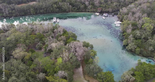 Aerial view of Silver Glen Natural Springs with Manatee herd swimming in clear water photo