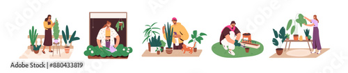People care about home garden set. Men and women watering flowers on the window sill, clean green leaves, grow houseplants, plants in pots. Flat isolated vector illustrations on white background
