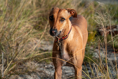 Wallpaper Mural setter running Torontodigital.ca