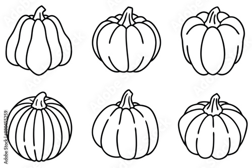 Pumpkin Pulp Line Art Festive Sketch